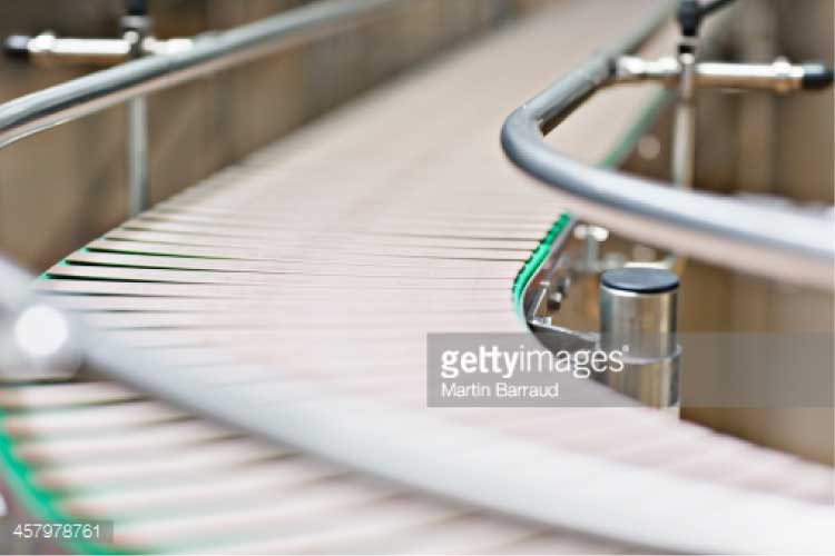 Stainless Steel Modular Wide Belt Conveyor