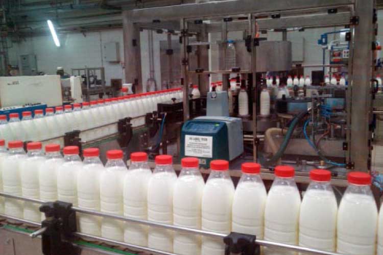 Nama Industrial Liquid Equipment Labeling machine.